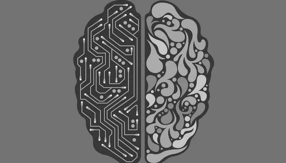 New Study Warns of Gender and Racial Biases in Robots