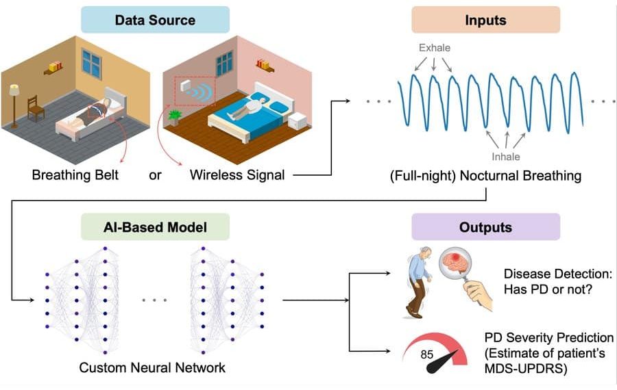 AI Model Detects Parkinson’s From Breathing Patterns