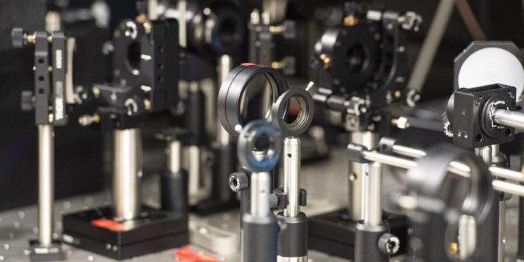 Biophysicists Bring Us Closer to Intelligent Microscopes
