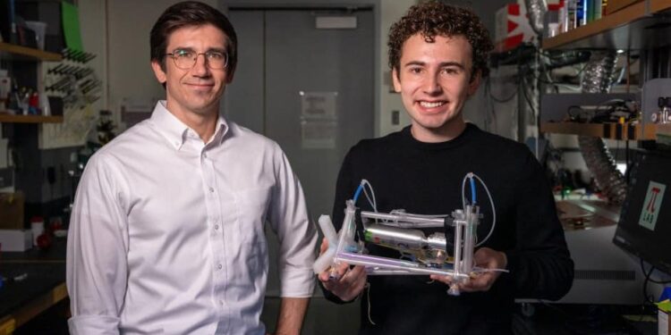Researchers Create New Control Systems for Soft Robots