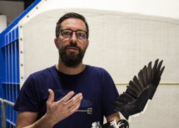 Flapping Drones Are on Their Way