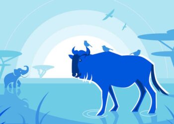 Cloudflare wants to help you set up your own Mastodon server in ‘minutes’