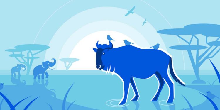 Cloudflare wants to help you set up your own Mastodon server in ‘minutes’