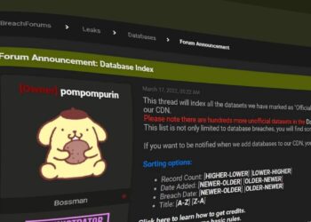 Owner of Breach Forums Pompompurin Arrested in New York