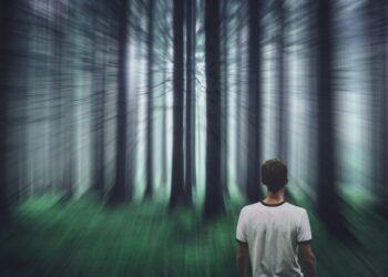 What Are LLM Hallucinations? Causes, Ethical Concern, & Prevention