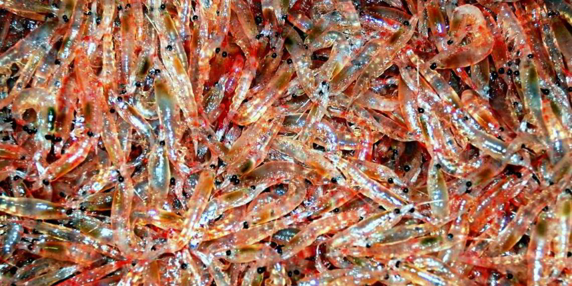 Kori Krill Oil Receives Award for Most Sustainable and Eco-Friendly Brand