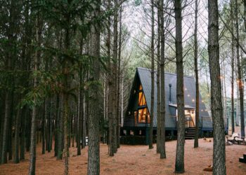 Retreatz.co: The Launch of Australia’s Eco-Friendly Accommodation Hub