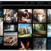 AI Image Generator MinisterAI, Suitable for Replacing Midjourney and Stable Diffusion