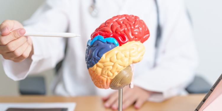 The University of Birmingham’s MedTech Marvel and the Paradigm Shift in Traumatic Brain Injury Diagnosis