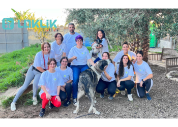 LOKLiK Exemplified Supports to Shelter Animals in Spain This November