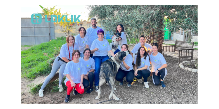 LOKLiK Exemplified Supports to Shelter Animals in Spain This November