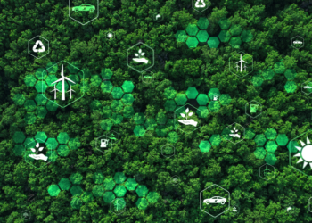 AI’s Carbon Footprint and the Call to Environmental Responsibility