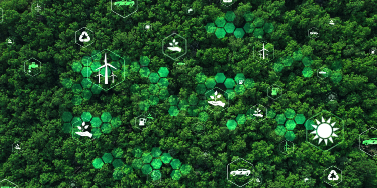 AI’s Carbon Footprint and the Call to Environmental Responsibility