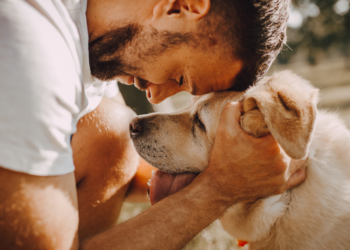 10 Dog Breeds That Will Light Up Your Home