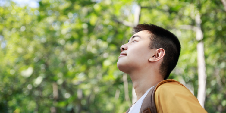 There are Only Seven Countries in the World That Meet the WHO’s Air Quality Standards. Here They Are