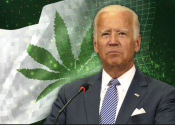 Shifting Tides: The Impending Transformation of U.S. Cannabis Policy, and the Growth Opportunities for Market Players