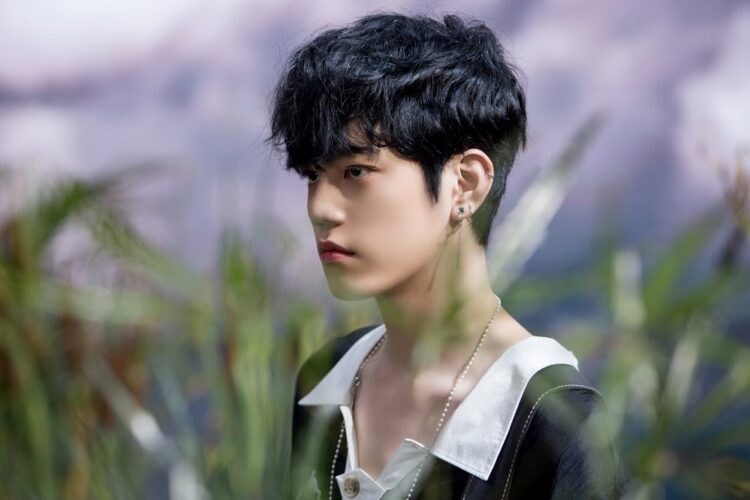 Here's the Definitive List of Famous K-Pop Artists Serving the Korean ...