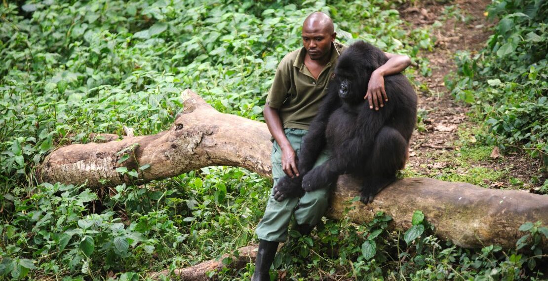 9 Nature Documentaries on Netflix that will Make You Feel Like You’ve Traveled the World