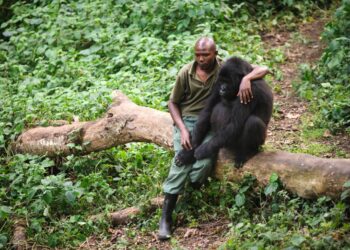 9 Nature Documentaries on Netflix that will Make You Feel Like You’ve Traveled the World