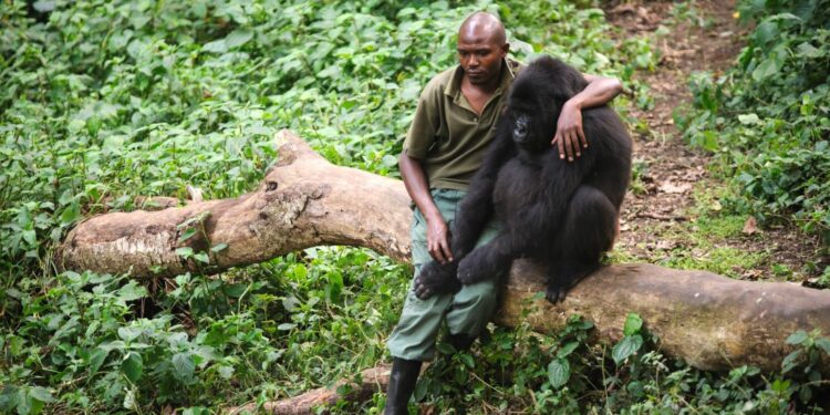 9 Nature Documentaries on Netflix that will Make You Feel Like You’ve Traveled the World