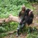 9 Nature Documentaries on Netflix that will Make You Feel Like You’ve Traveled the World