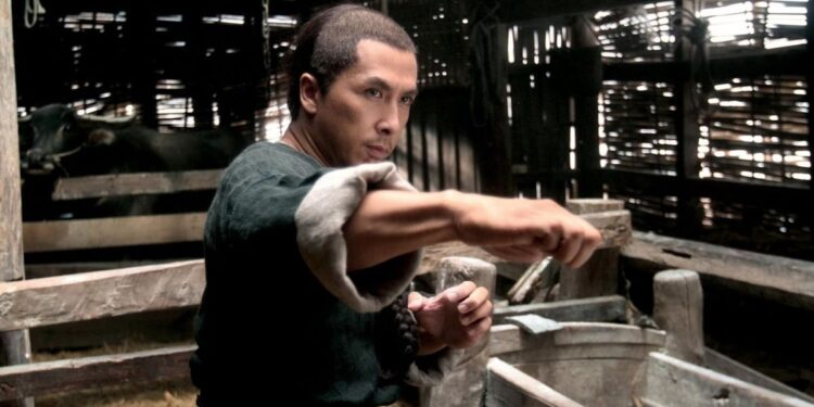 15 Must-Watch Martial Arts Movies on Netflix for All Enthusiasts