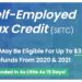SETC Credit Might Allow You To Claim To $32k (Self Employed Tax Credit 2024)