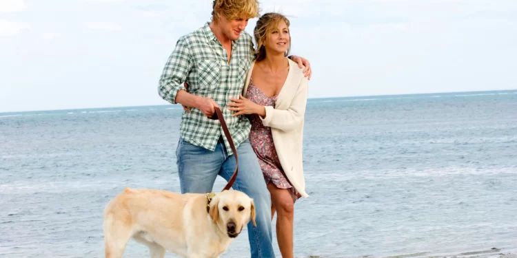 These 10 Sentimental Movies on Netflix Will Give You A Moment to Think and Feel More Deeply