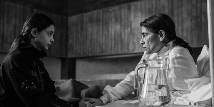These 7 Independent Short Films on Netflix Will Be Worth Watching