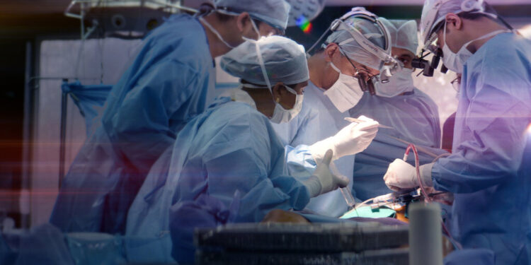 10 Medical TV Shows on Netflix Where You’ll Likely Learn a Thing or Two