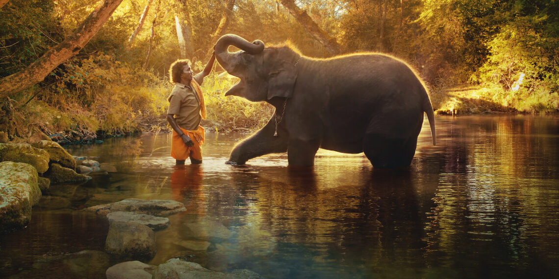 These 20 Award-Winning Documentary Films on Netflix Will Make You Want to Watch Them