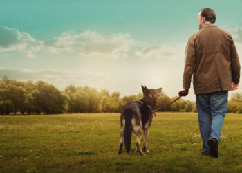 6 Netflix Shows That Deal with Grief and Healing