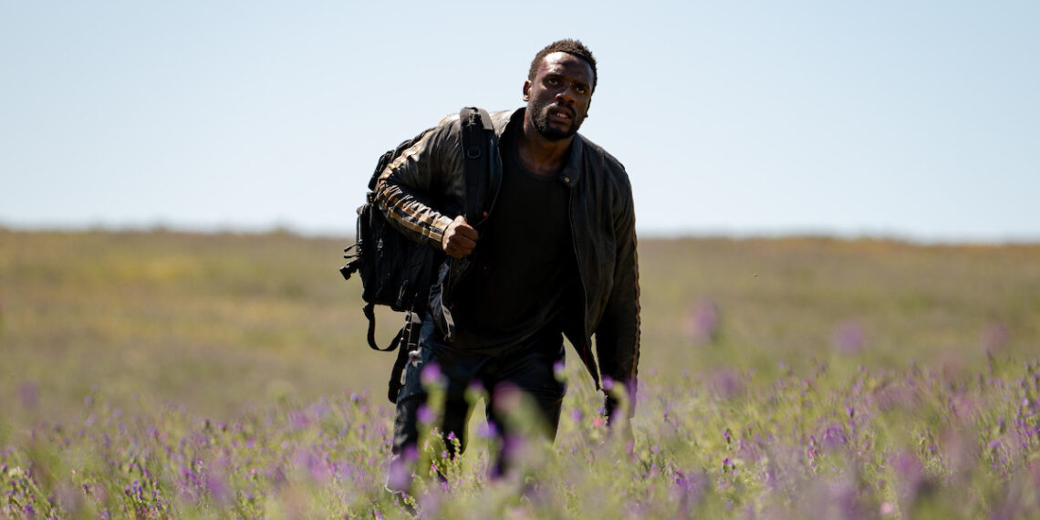 You’ll Want to Check Out These 15 Exciting Crime Movies That are New on Netflix