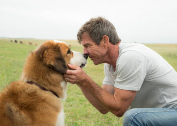 These 7 Emotional Movies on Netflix Will Make You Want to Cry