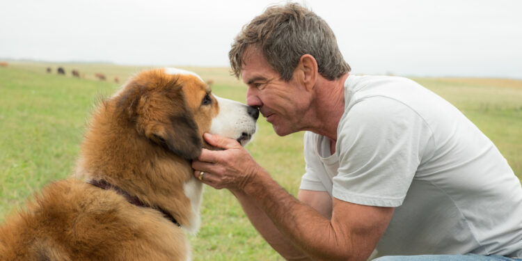 These 7 Emotional Movies on Netflix Will Make You Want to Cry