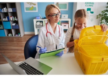 MoreMax Unveils Tailored IT Solutions for Veterinary Practices Nationwide