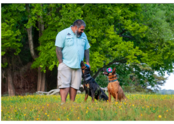 Revolutionizing Dog Training: Coastal K9 Academy NC Brings Expertise and Innovation to Pet Owners in Coastal Virginia & Carolina