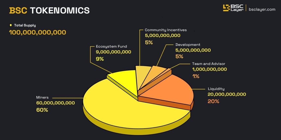 Enhancing Binance Smart Chain with BSC Layer Protocol