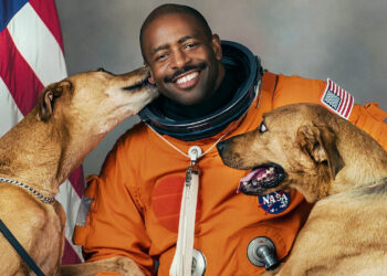 15 Most Heartwarming Animal Documentaries on Netflix to Watch Right Now