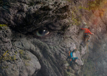 Looking for Some Good International Films to Watch? Here are the 10 Most Watched on Netflix