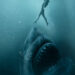 13 Jaw-Dropping Shark Films and Series on Netflix You Can’t Miss