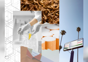When the Brand Loses Its Power: The Business Opportunity in the Shift to Product Characteristics in the Tobacco Market