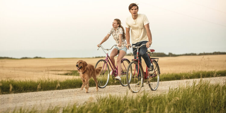 10 Heartwarming Netflix Shows and Films About Dogs That Will Melt Your Heart