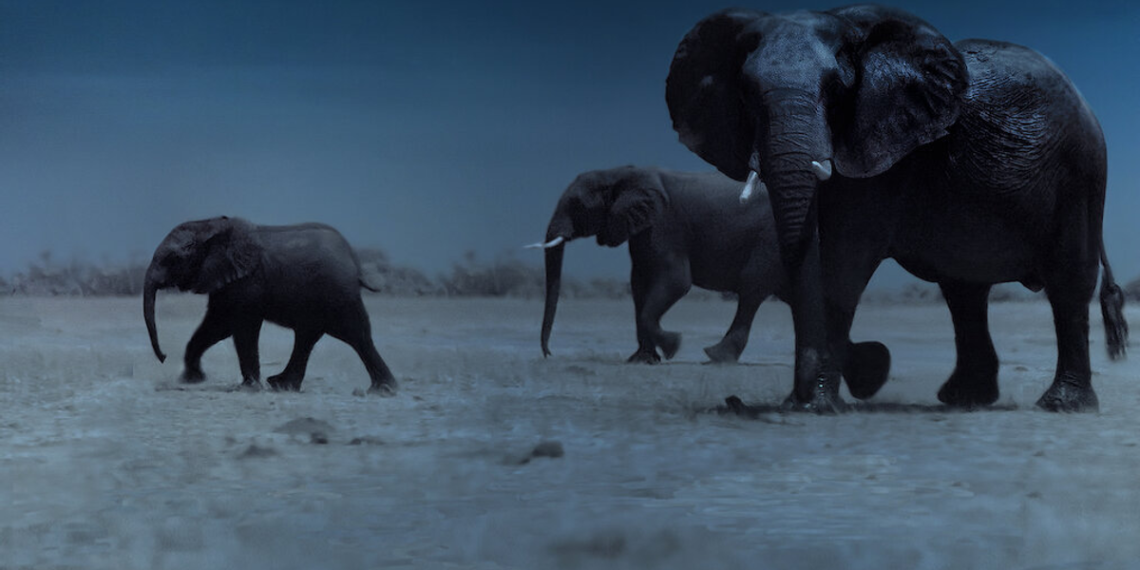 Unwind with These 10 Casual British Films Streaming on Netflix!