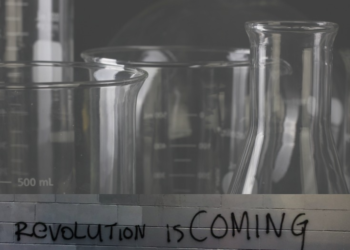 The Evolution of the Tobacco Market: What Revolution Lies Ahead?