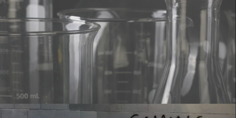 The Evolution of the Tobacco Market: What Revolution Lies Ahead?