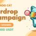 MOG CAT: Bringing Telegram’s Joyful Spirit to Cryptocurrency