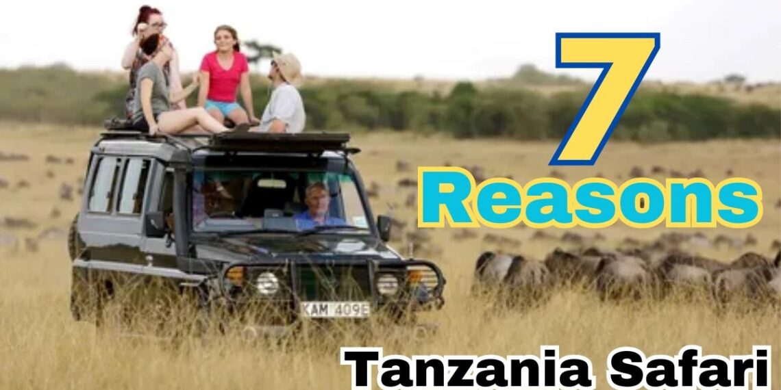 Why Tanzania Safaris Are the Ultimate Extreme Adventure