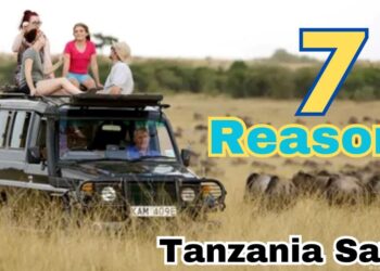 Why Tanzania Safaris Are the Ultimate Extreme Adventure