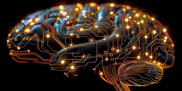 Finance Expert Develops Targeted Approaches to Support Small Business Advertising